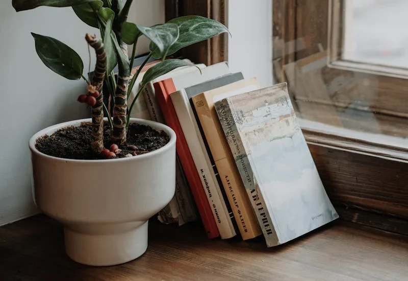 libros apilados sobre una ventana